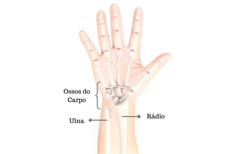 Dra-marina-justi-pisani-ortopedista-especialista-mao