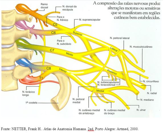 dra-marina-justi-pisani-ortopedista-especialista-cirurgia-mao-punho