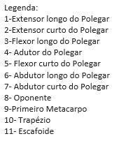 dra-marina-justi-pisani-ortopedista-especialista-mao-punho-sp